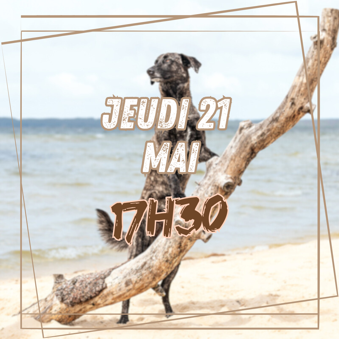 05~ Jeudi 21 Mai 17h30