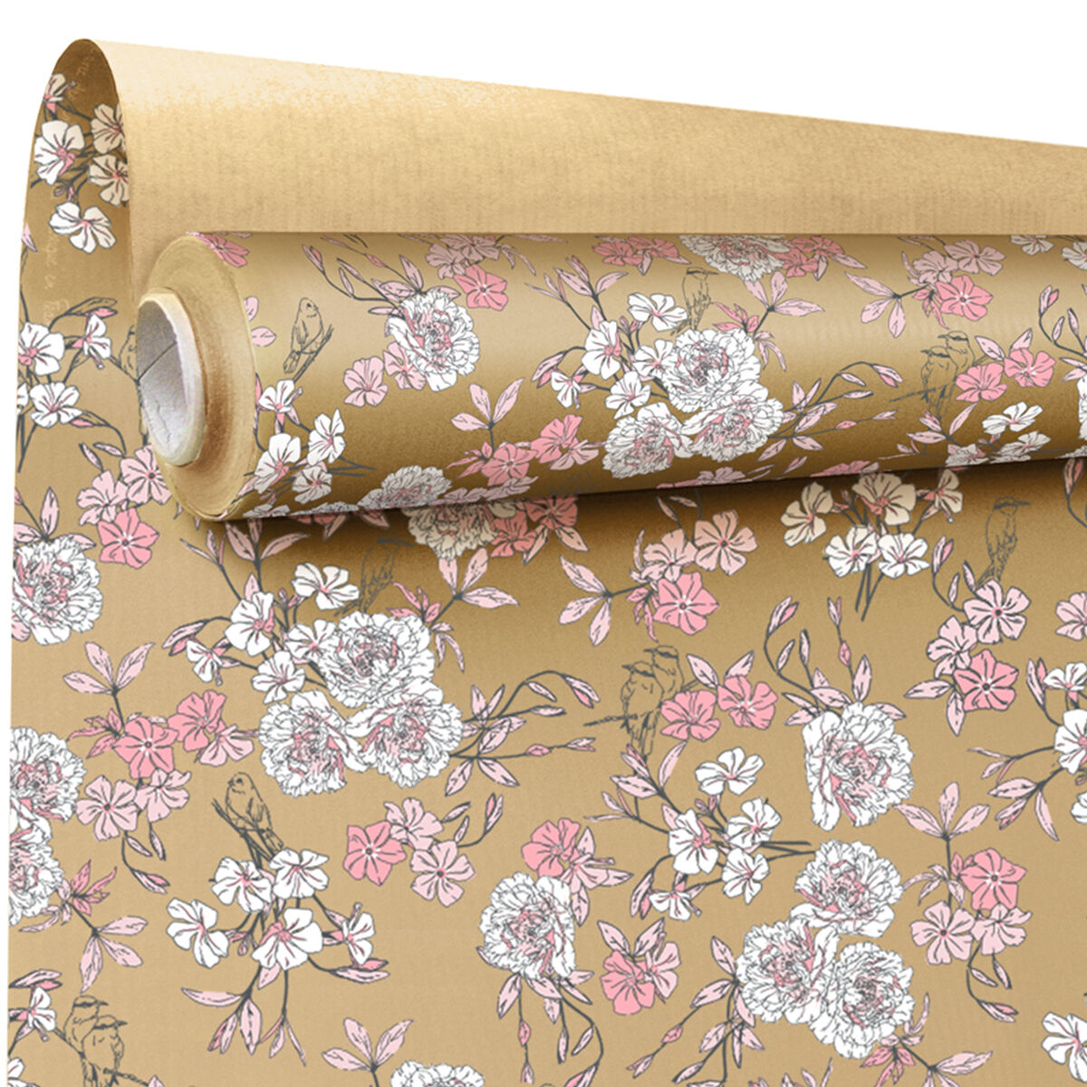 Rouleau kraft motif birdy 0.79x25m