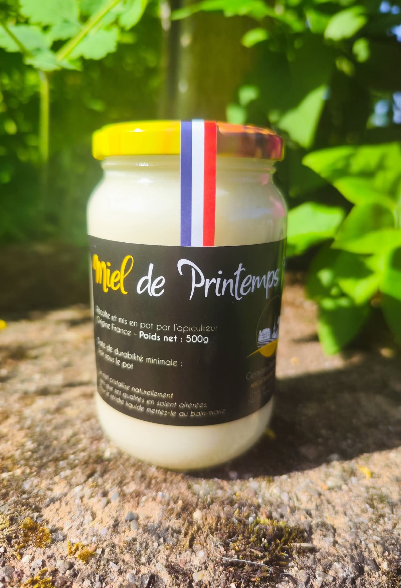 Miel de printemps