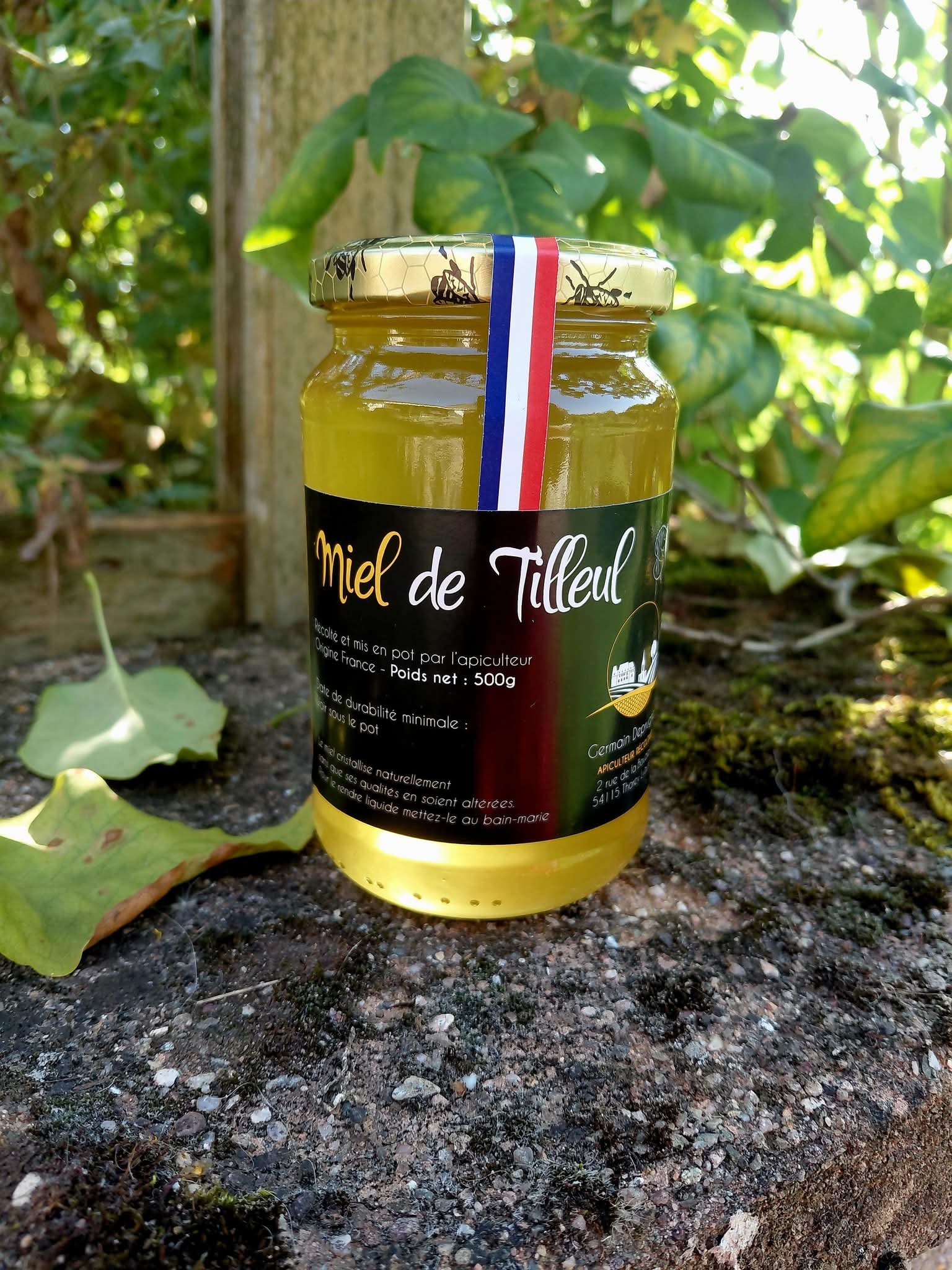 Miel de Tilleul