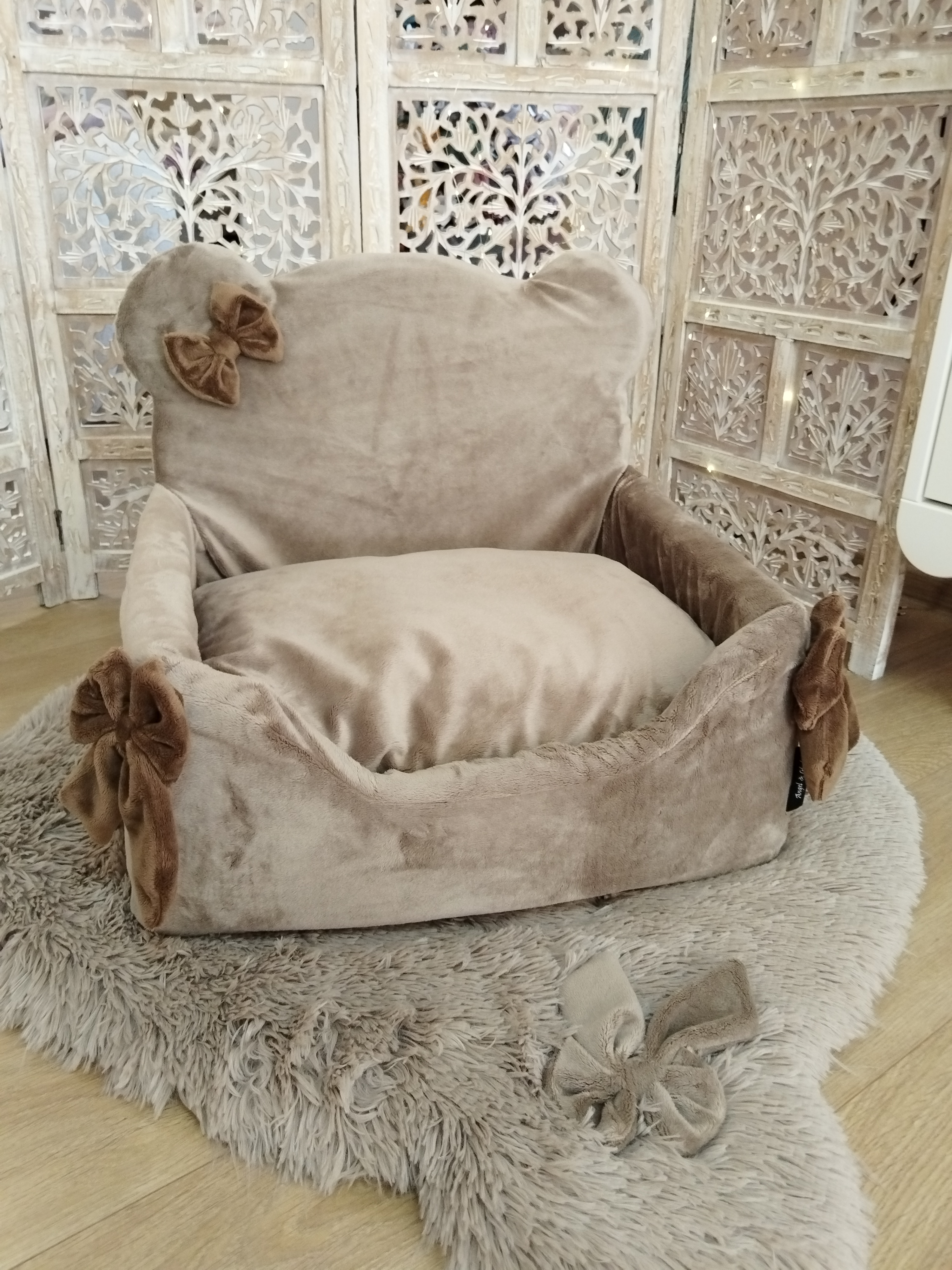 Cute Teddy Mocca Coconut