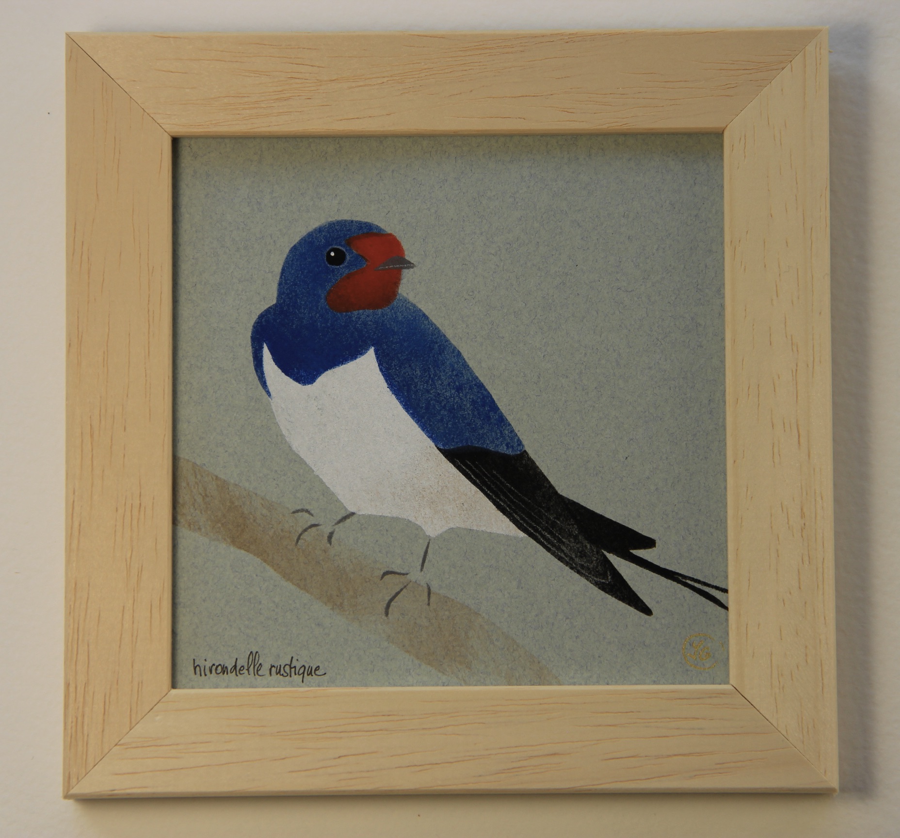 Hirondelle rustique