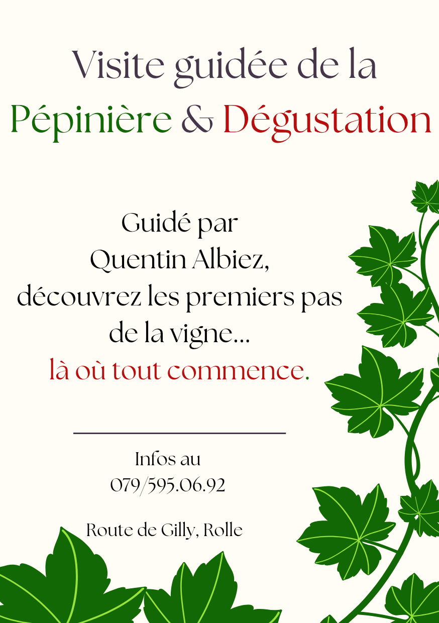 Visite de la Pépinière et Dégustation