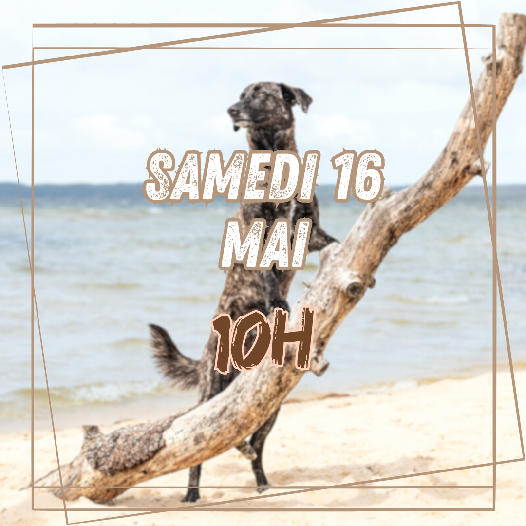 05~ Samedi 16 Mai 10h