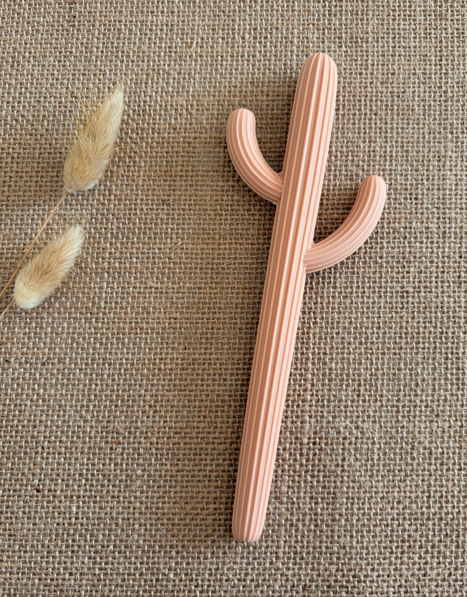 Anneau de dentition cactus en silicone - Beige rose