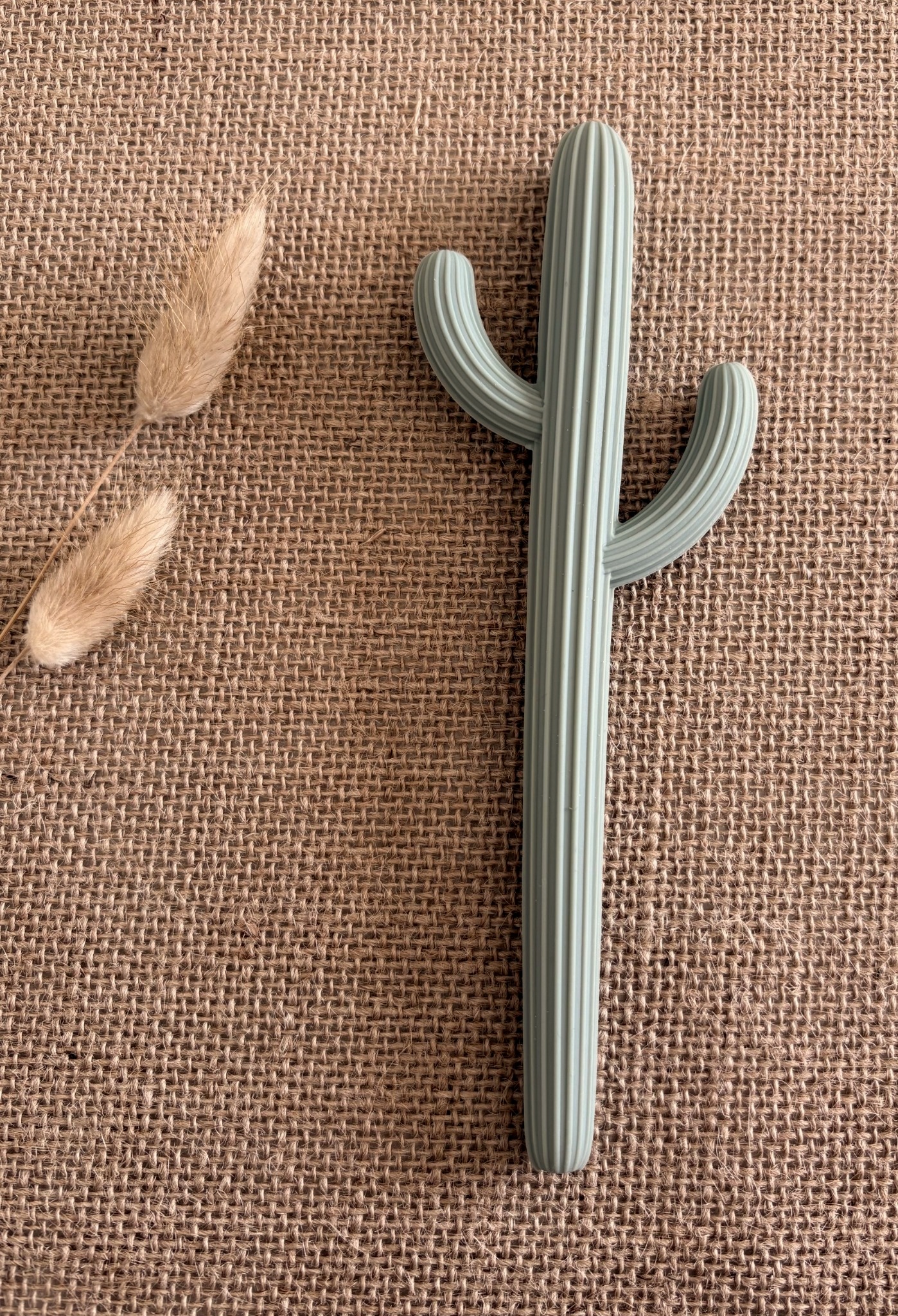 Anneau de dentition cactus en silicone - Sauge