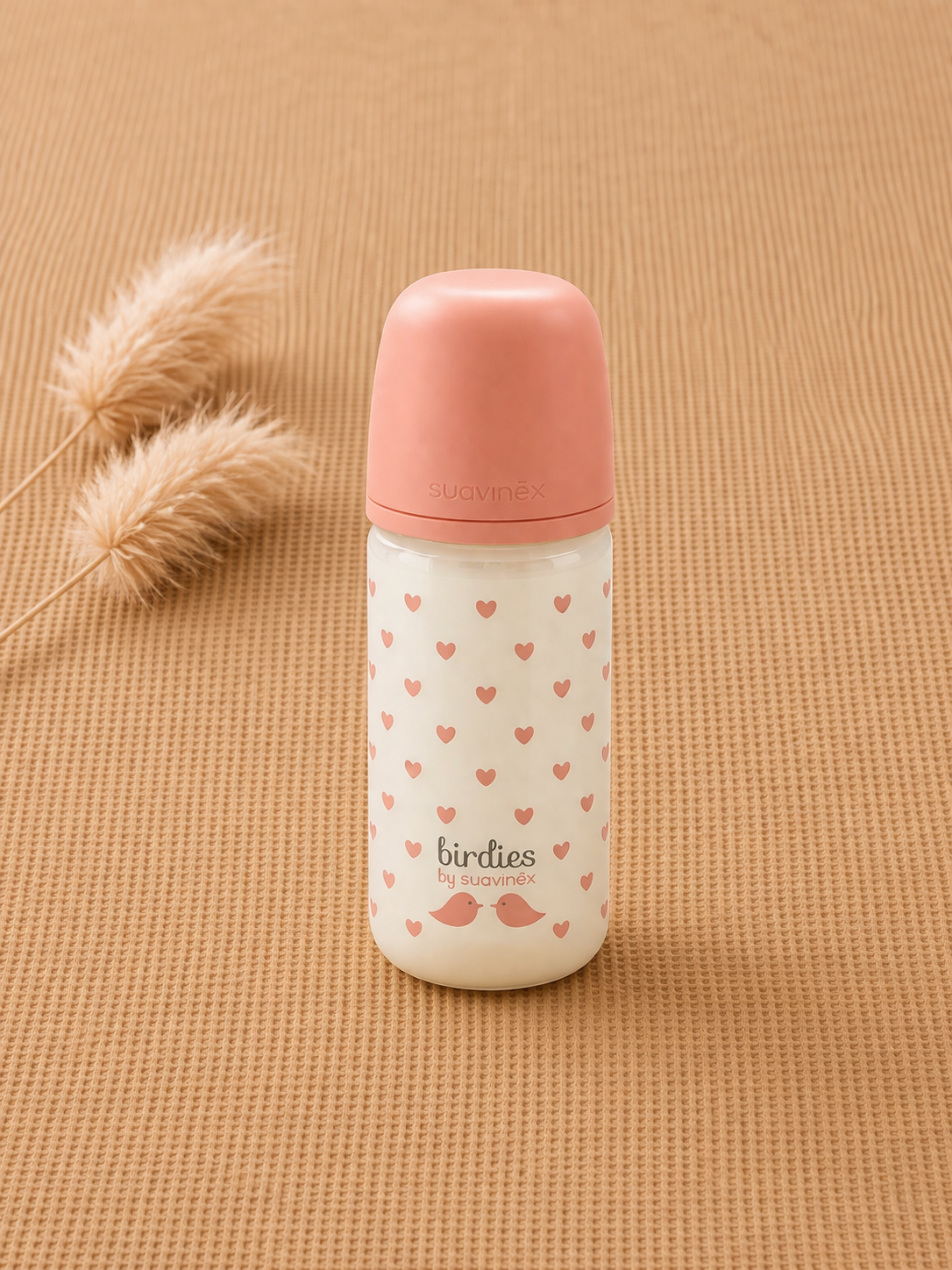 Biberon Suavinex en verre 240ml tétine SX Pro S - Birdies