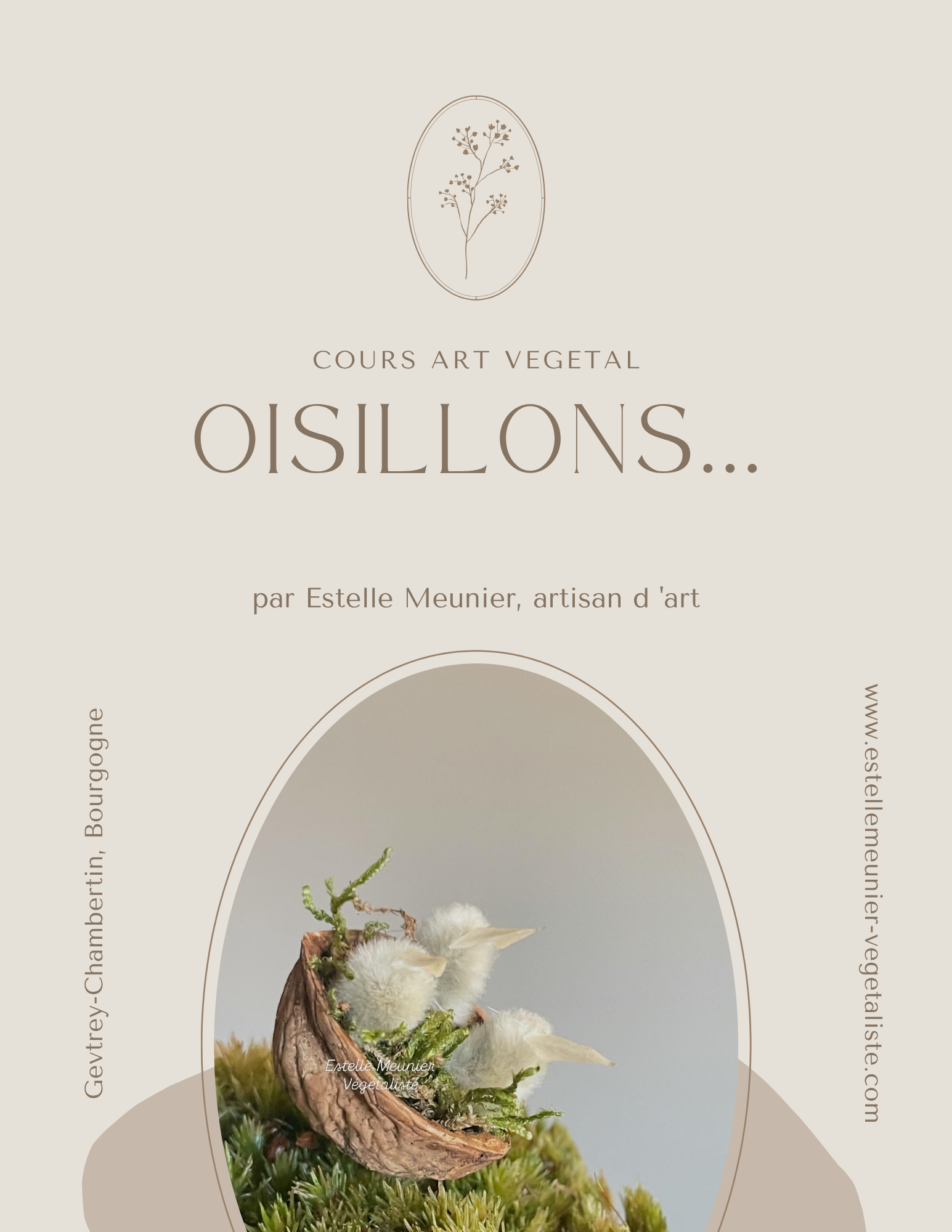 fiche cours : oisillons