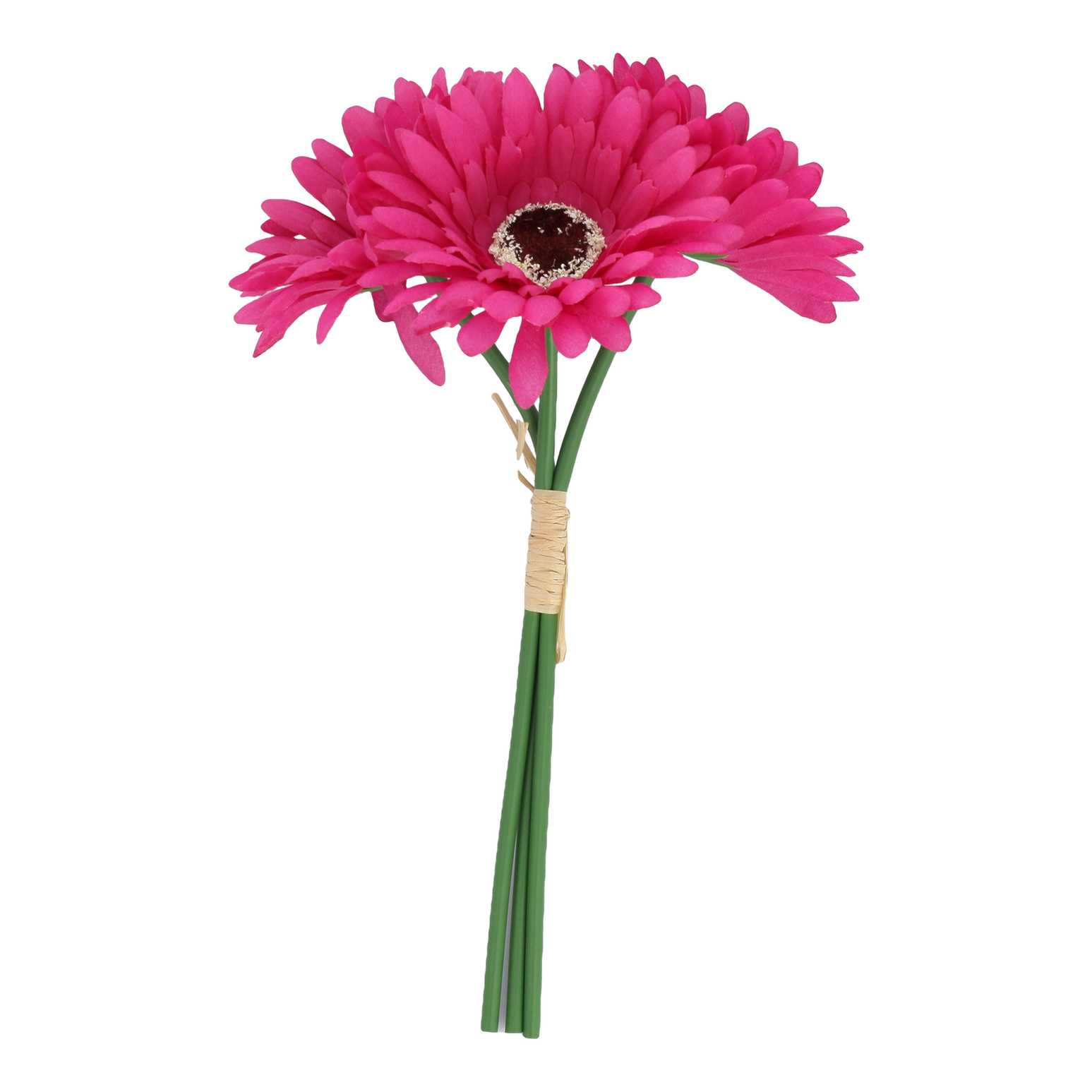 Bouquet de 3 Germinis Framboise Ø9x25cm