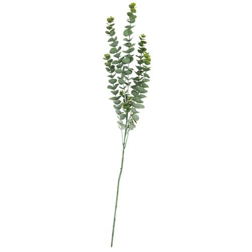 Branche de Feuilles d'Eucalyptus Vert Blanchi83cm