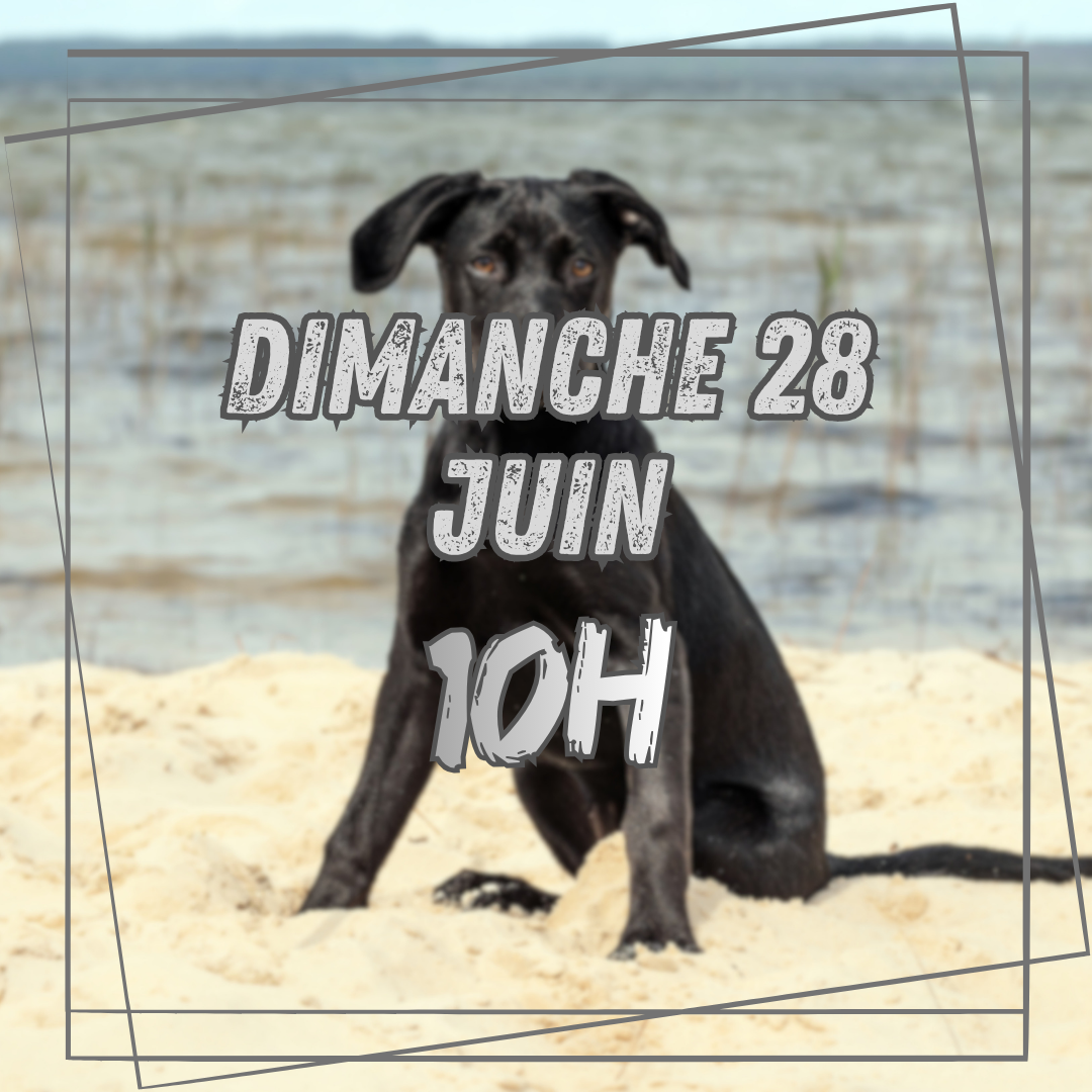 06~ Dimanche 28 Juin 10h