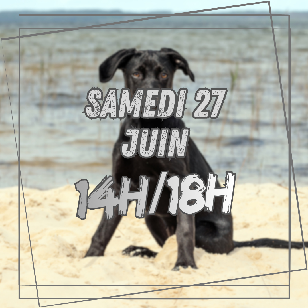06~ Samedi 27 Mars 14h/18h