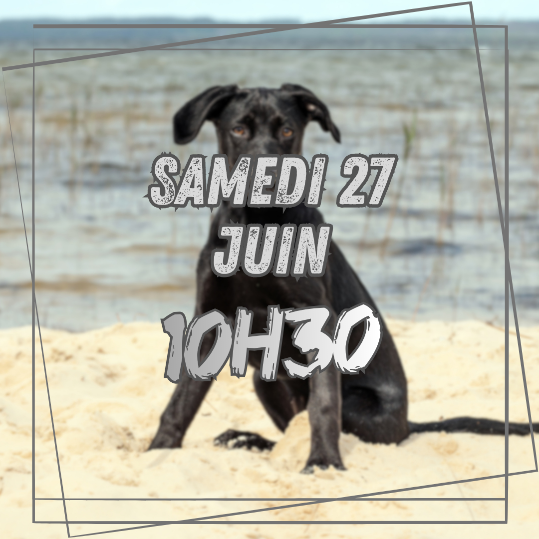 06~ Samedi 27 Juin 10h30 