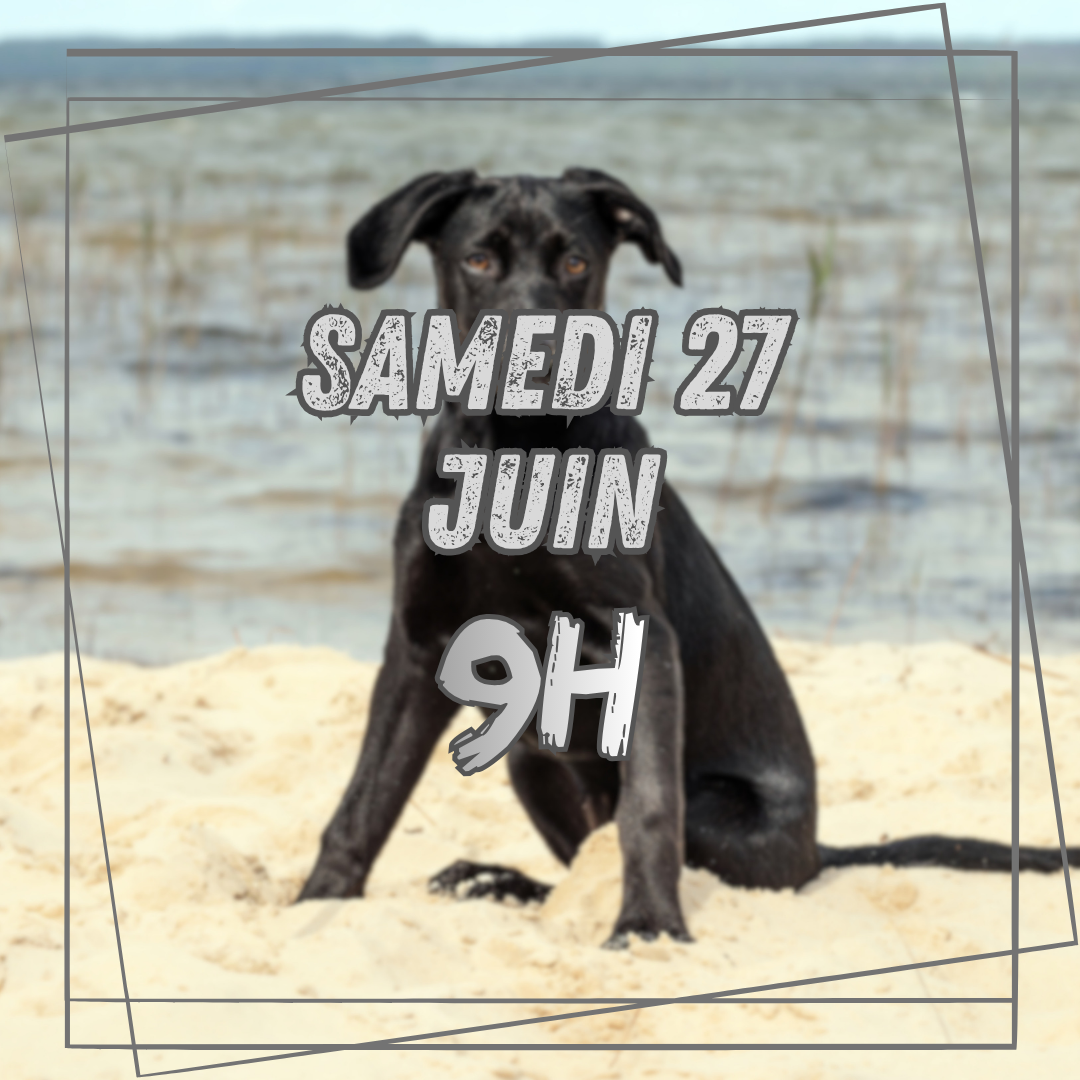 06~ Samedi 27 Juin 9h