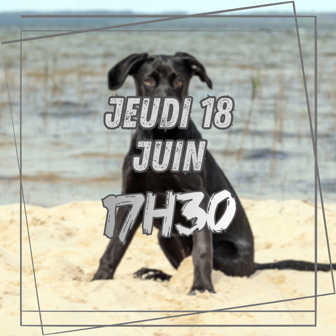 06~ Jeudi 18 Juin 17h30