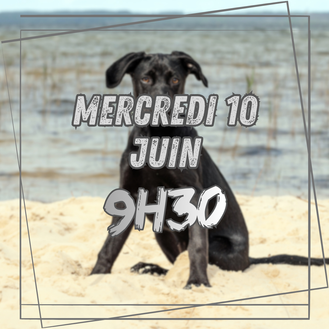 06~ Mercredi 10 Juin 9h30