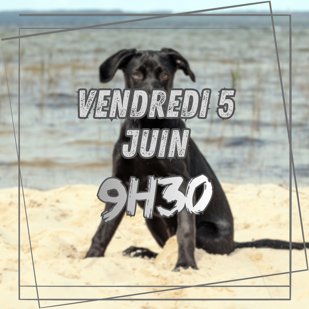 06~ Vendredi 5 Juin 9h30