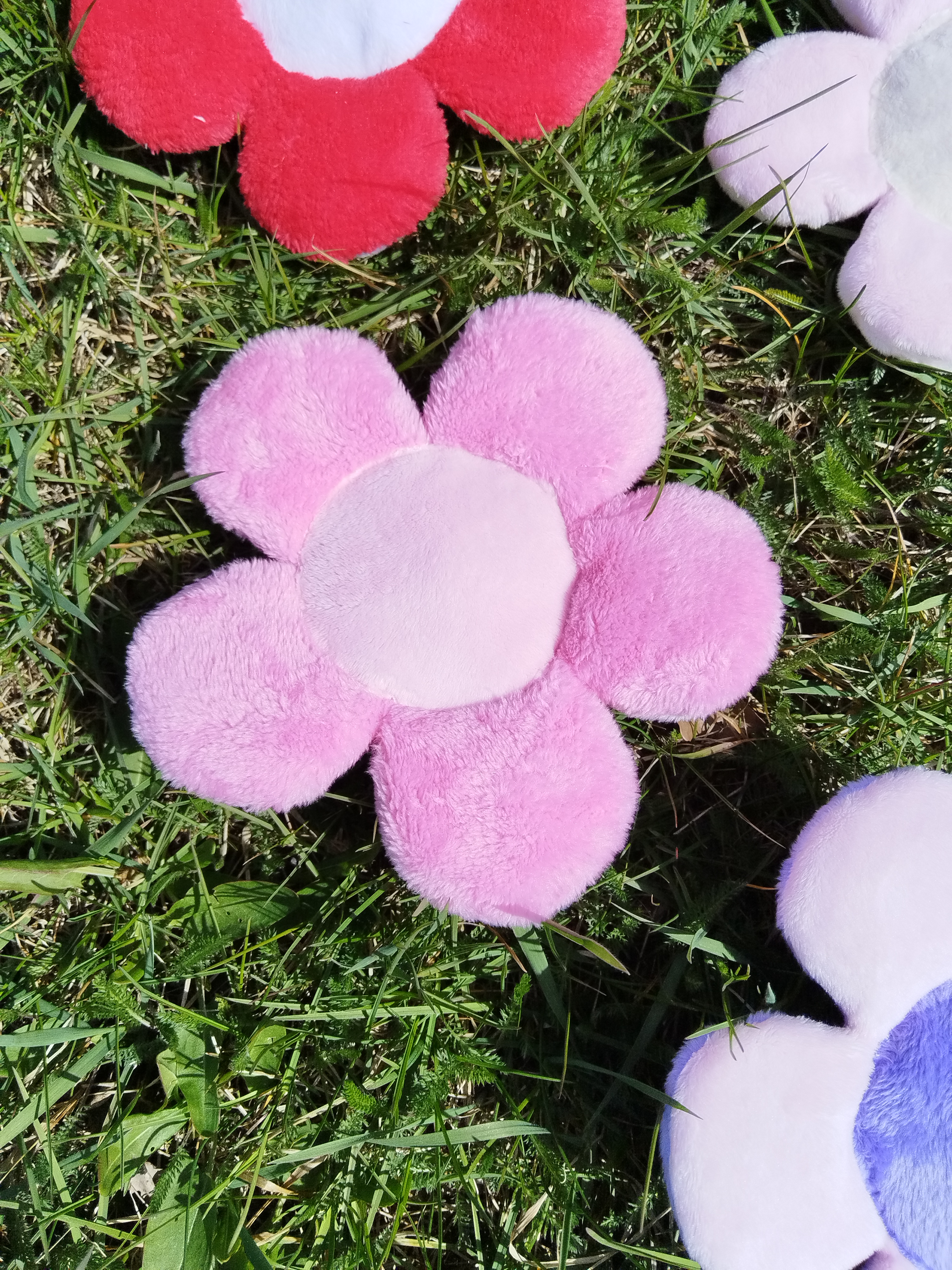 Jouet Marguerite - Rose acidulé Rose