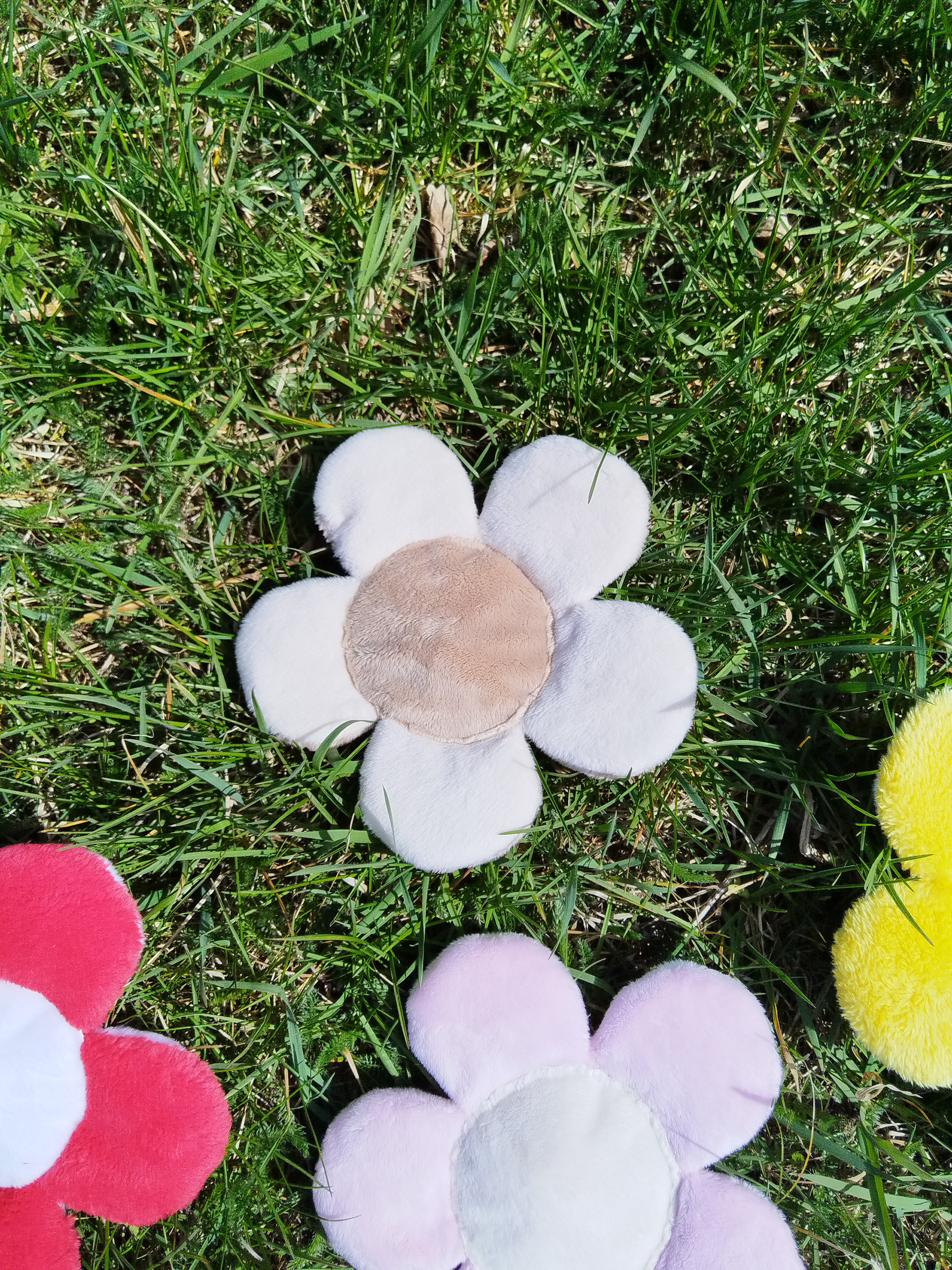 Jouet Marguerite - Vanille Caramel