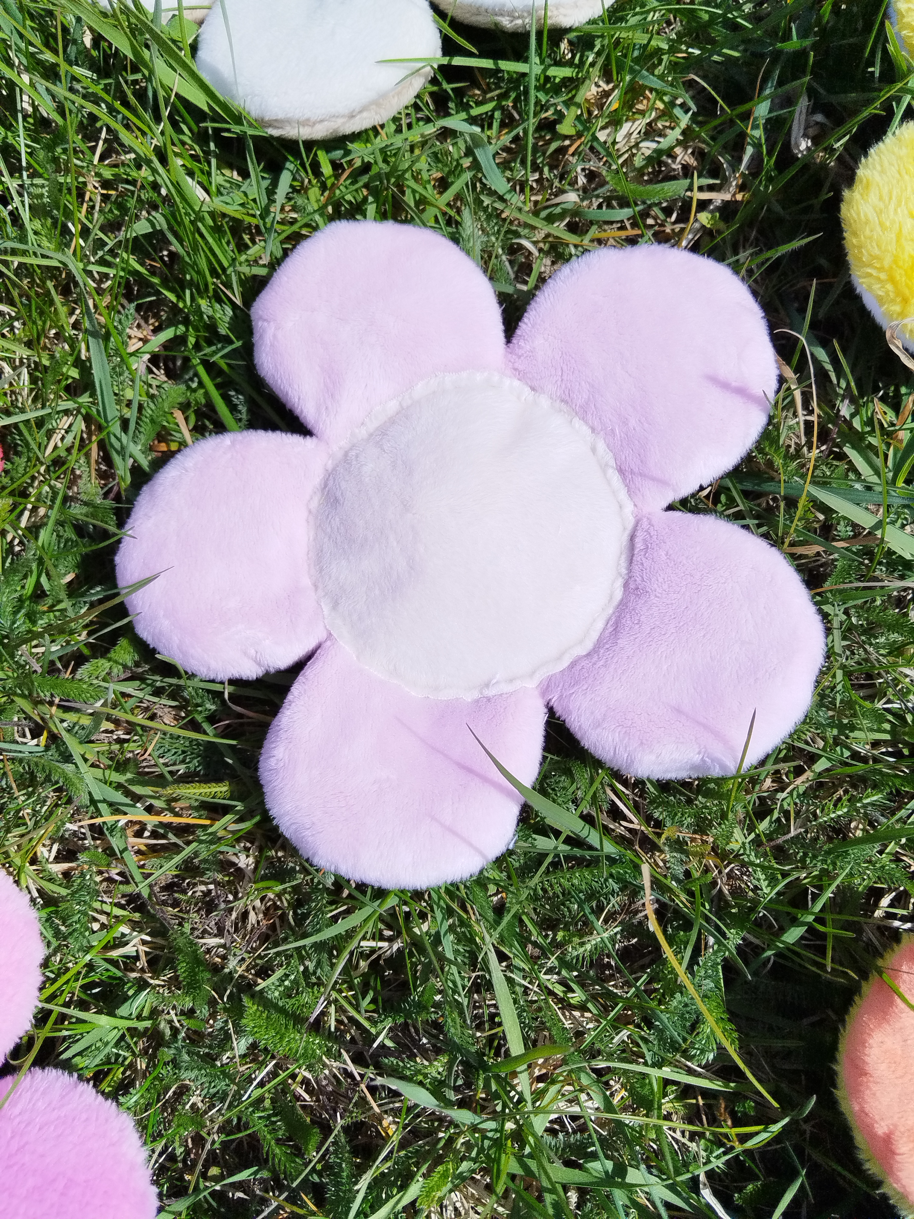 Jouet Marguerite - Rose Vanille