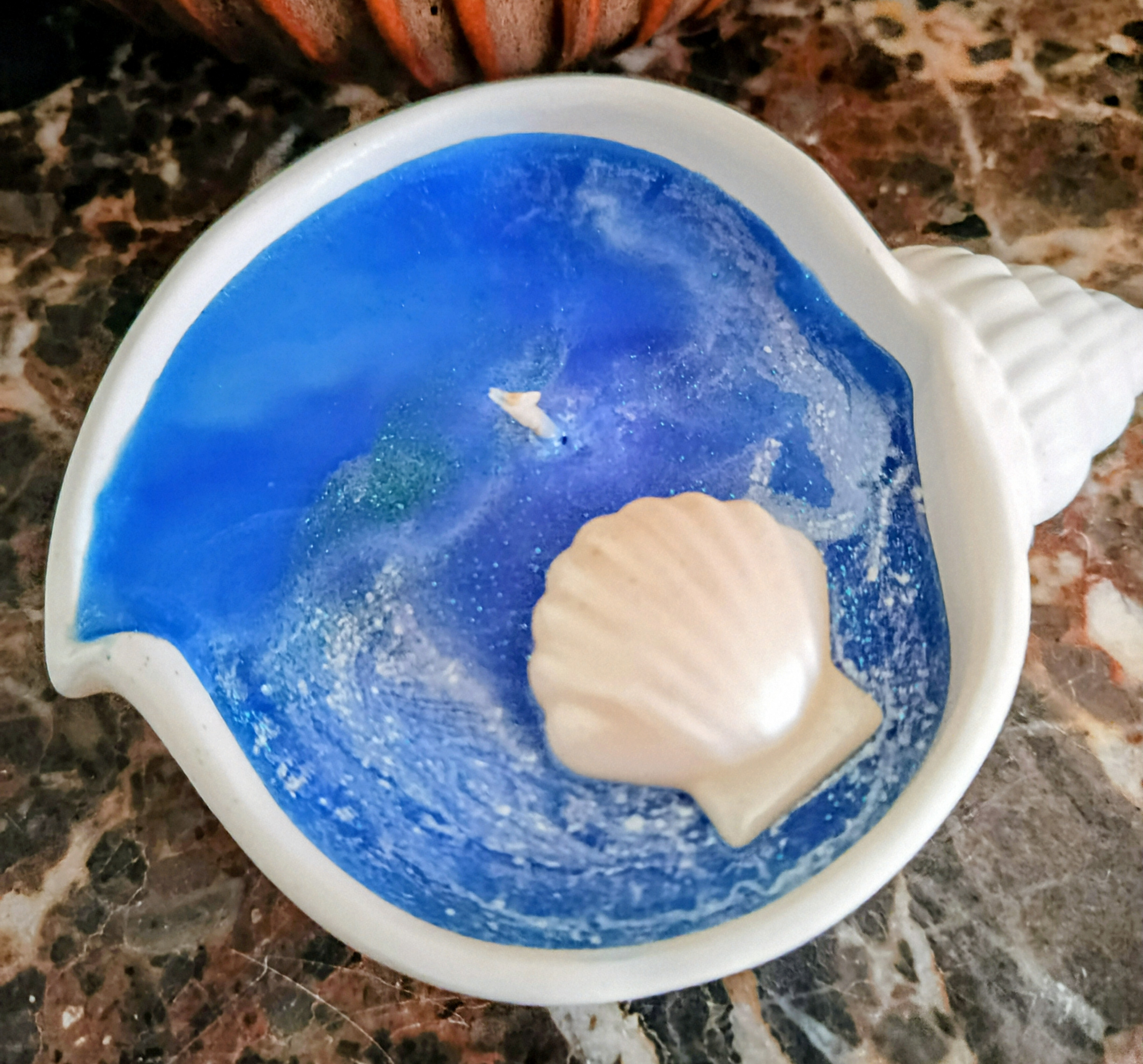 coquillage senteur brise marine 