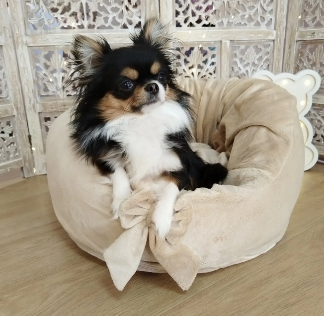 Pouf