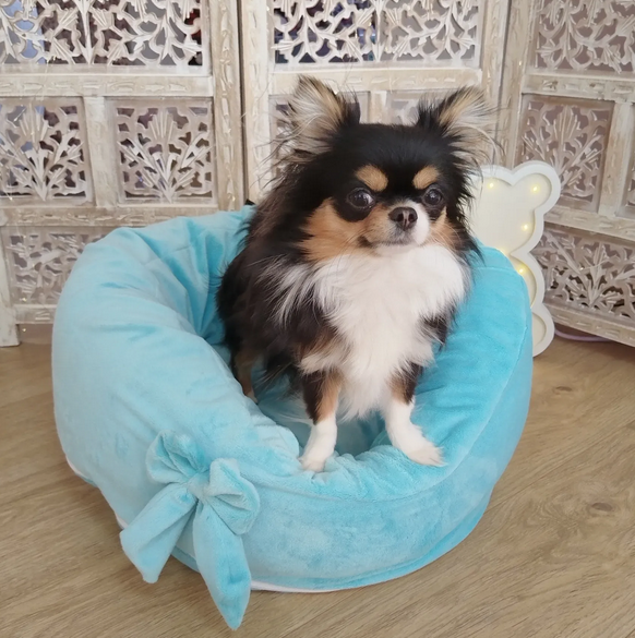 Pouf