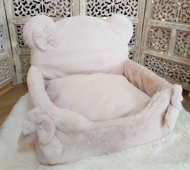 Cute Teddy