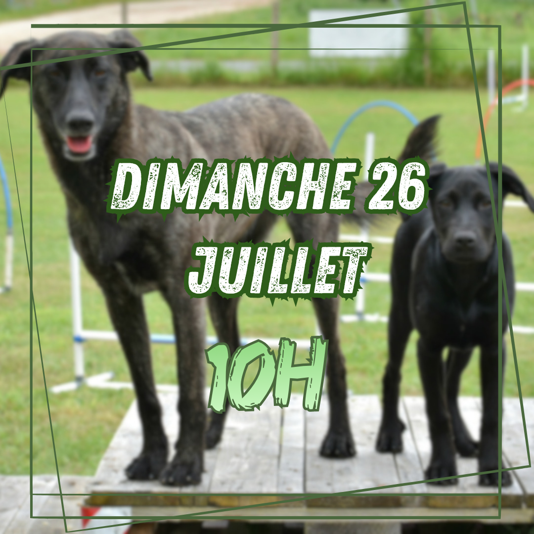 07~ Dimanche 26 Juillet 10h