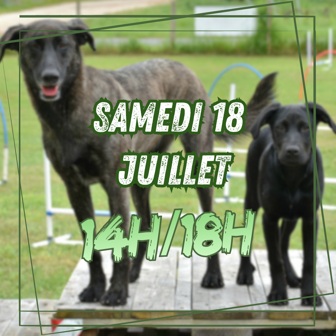 07~ Samedi 18 Juillet 14h/18h