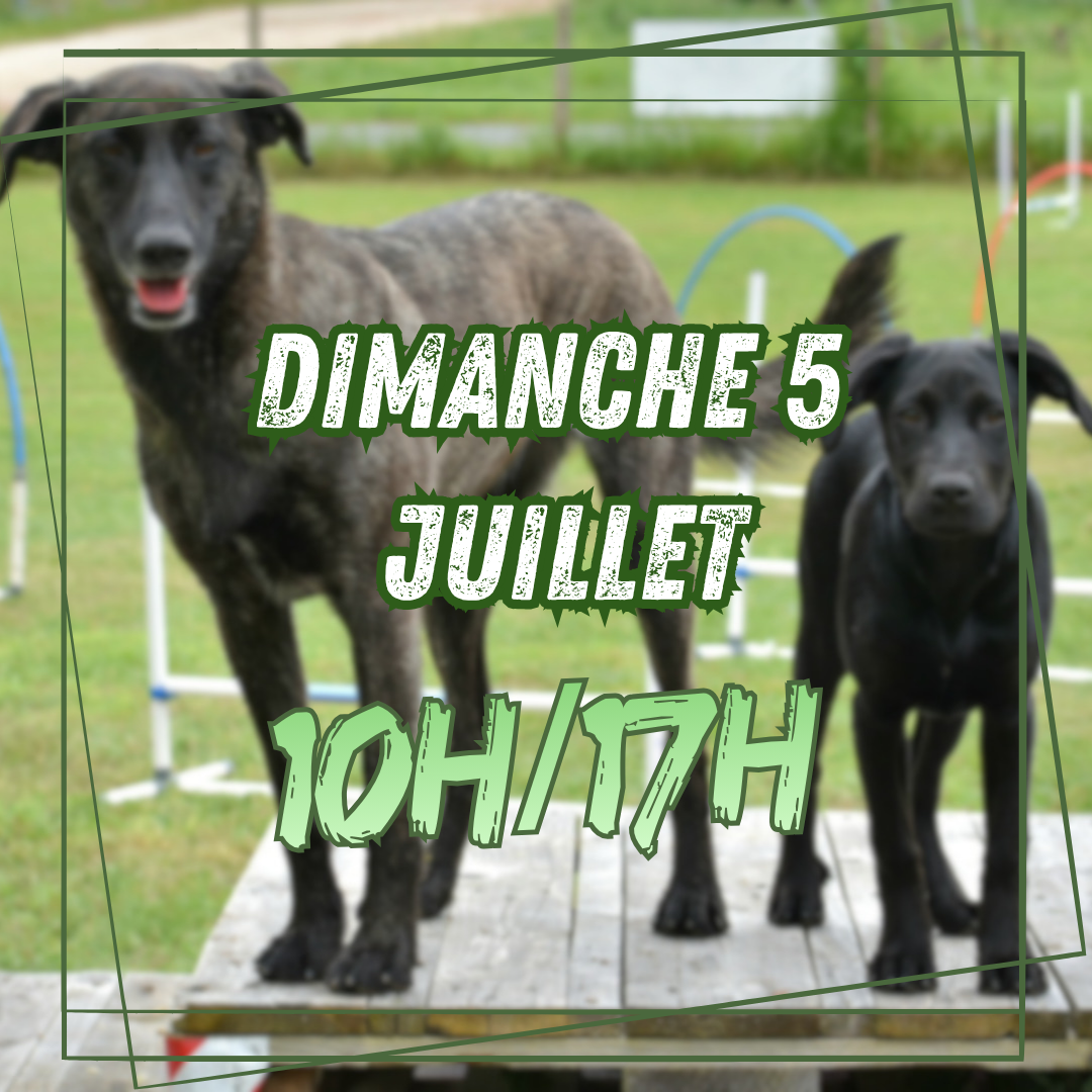 07~ Dimanche 5 Juillet 10h/17h
