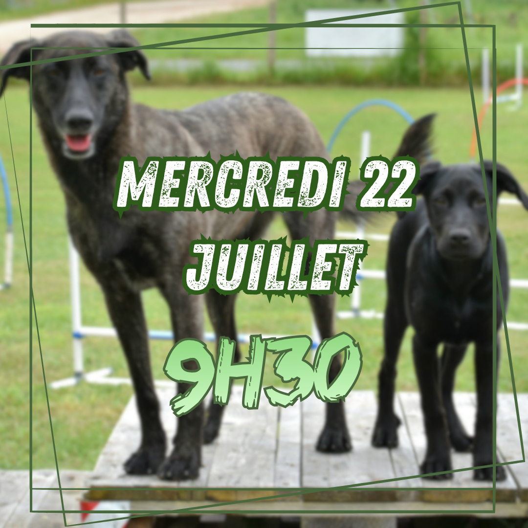 07~ Mercredi 22 Juillet 9h30