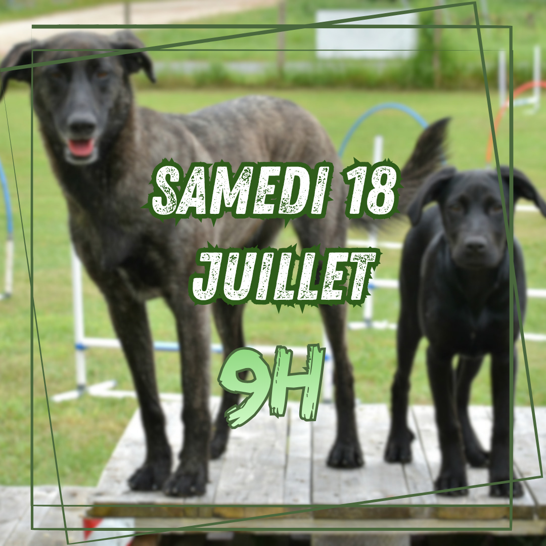 07~Samedi 18 Juillet 9h