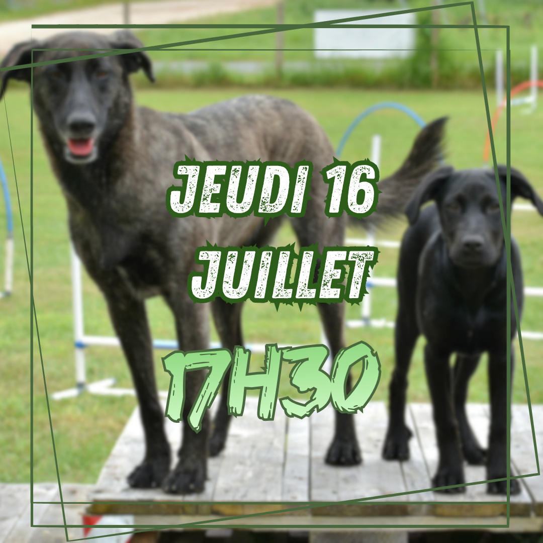 07~ Jeudi 16 Juillet 17h30