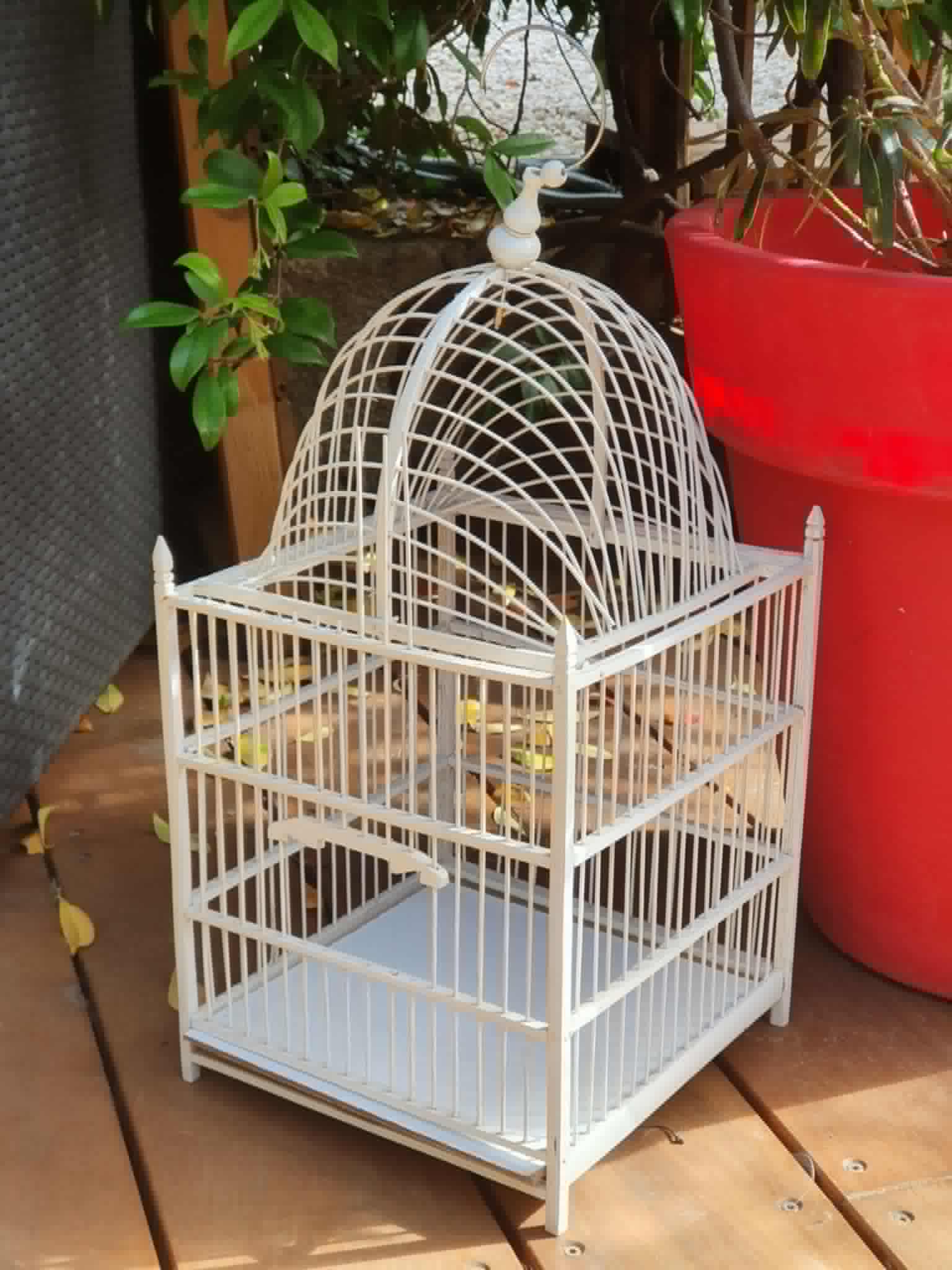  Grande cage déco bambou 