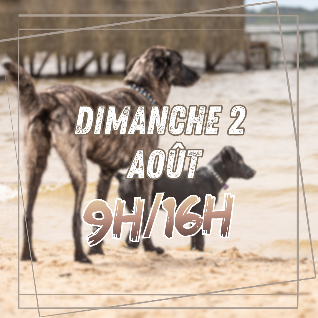 08~ Dimanche 2 Août 9h/16h