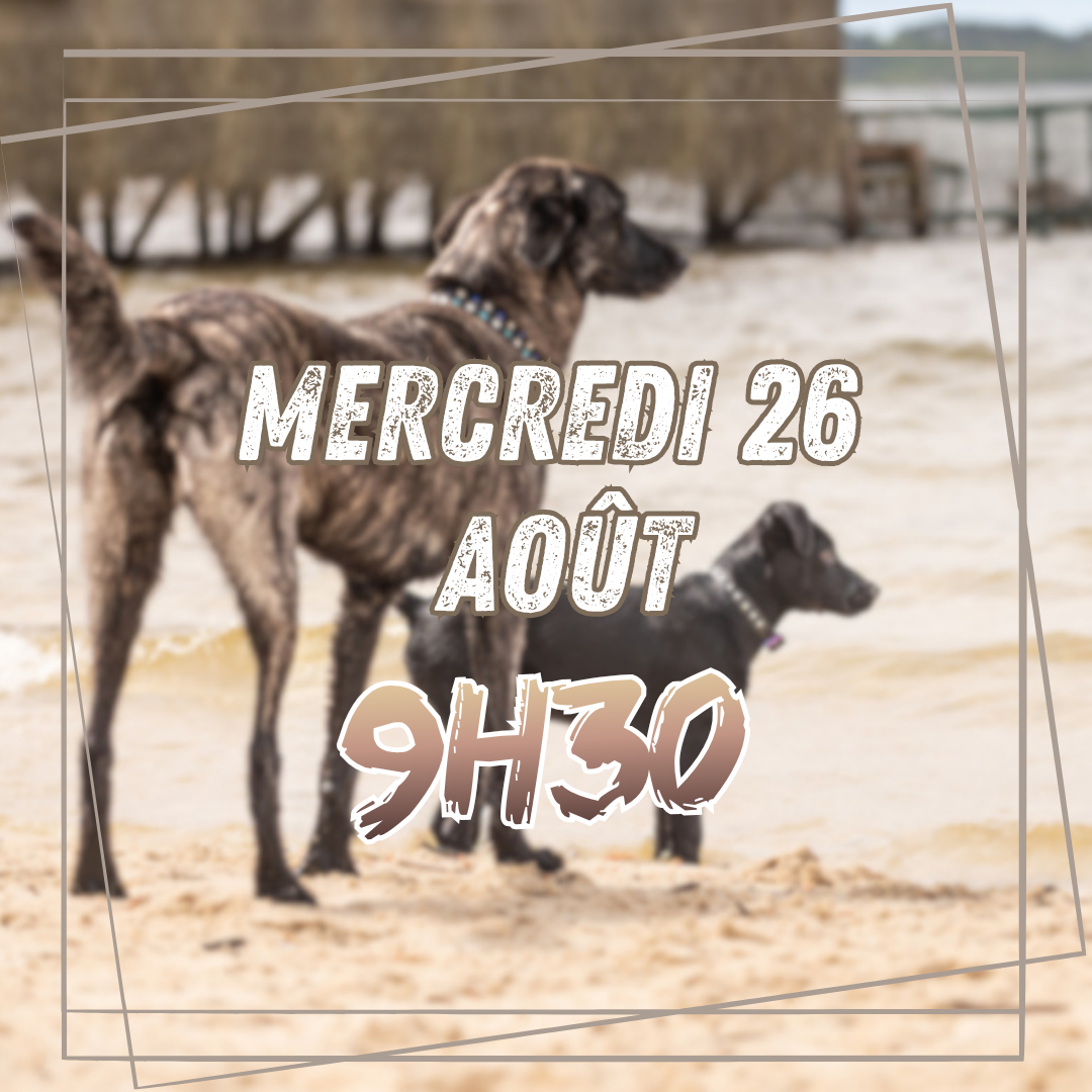 08~ Mercredi 26 Août 9h30