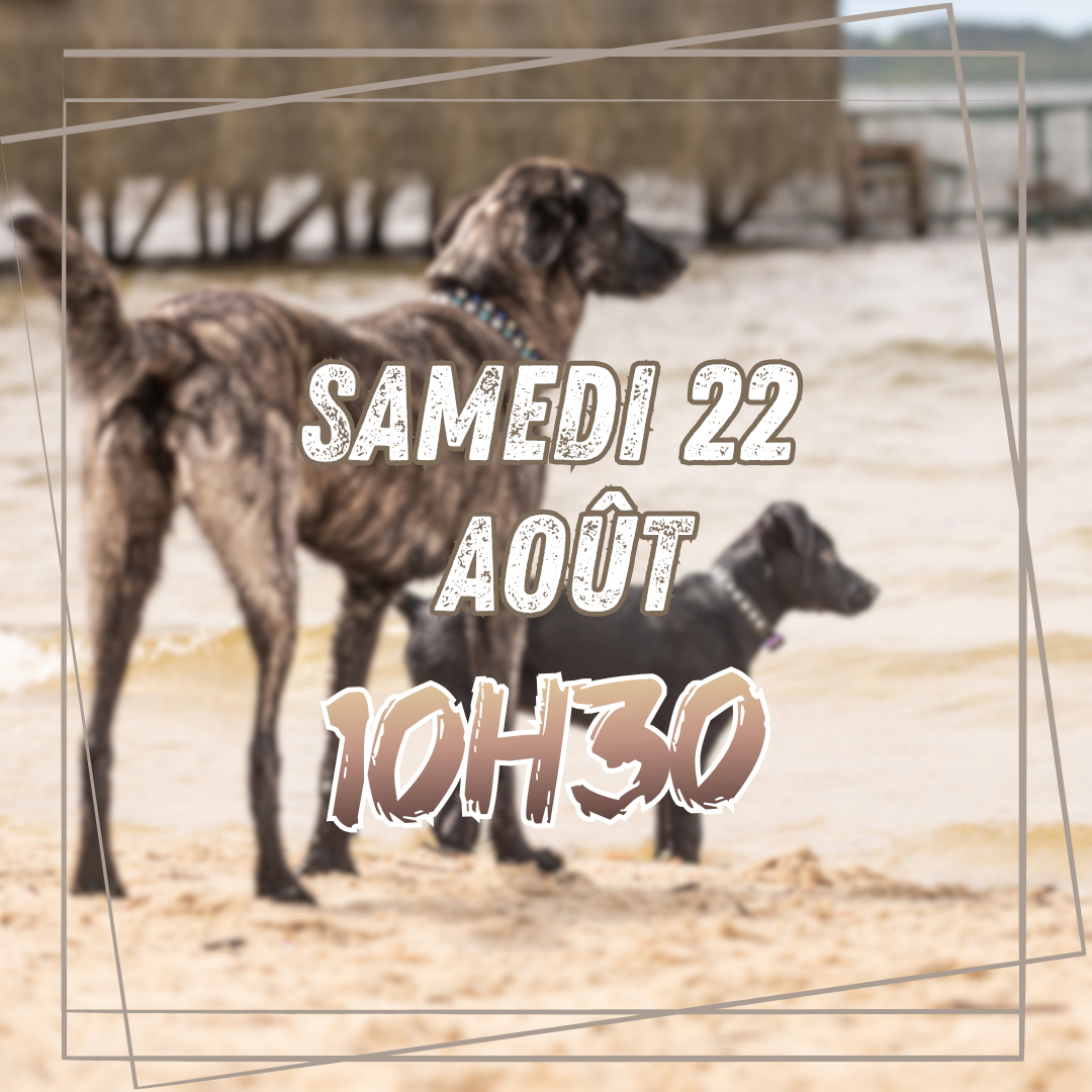 08~ Samedi 22 Août 10h30
