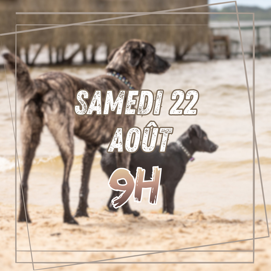 08~ Samedi 22 Août 9h