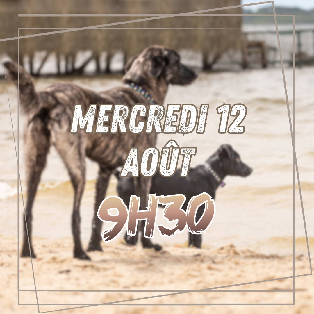 08~ Mercredi 12 Août 9h30