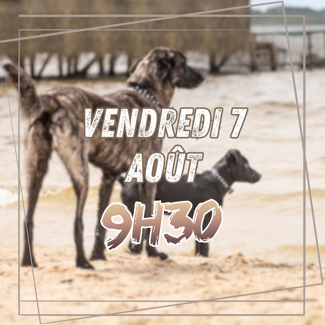 08~ Vendredi 7 Août 9h30