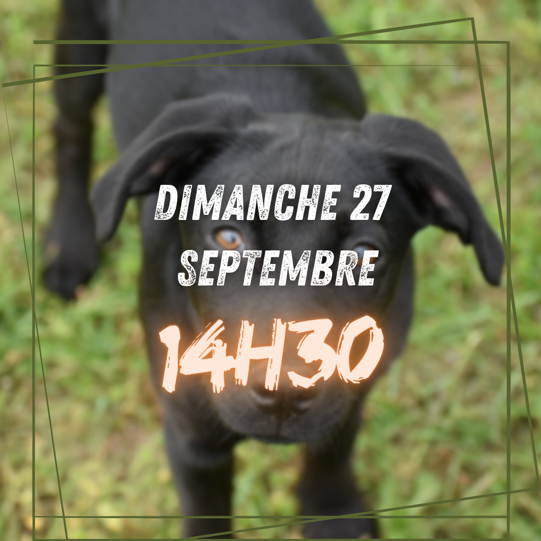 09~ Dimanche 27 Septembre 14h30