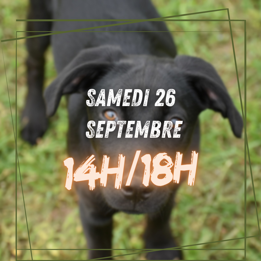 09~ Samedi 26 Septembre 14h/18h