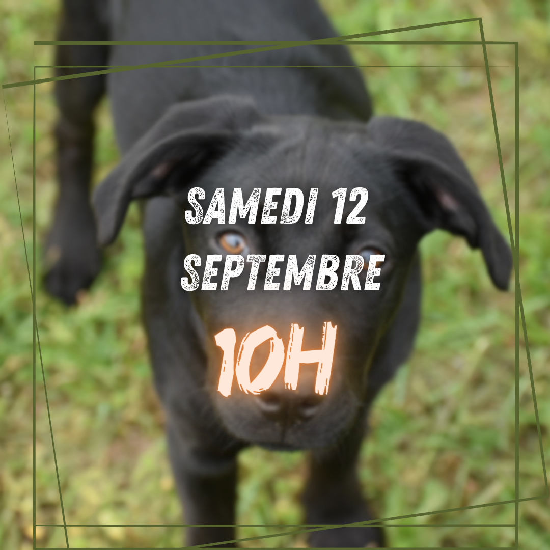 09~ Samedi 12 Septembre 10h