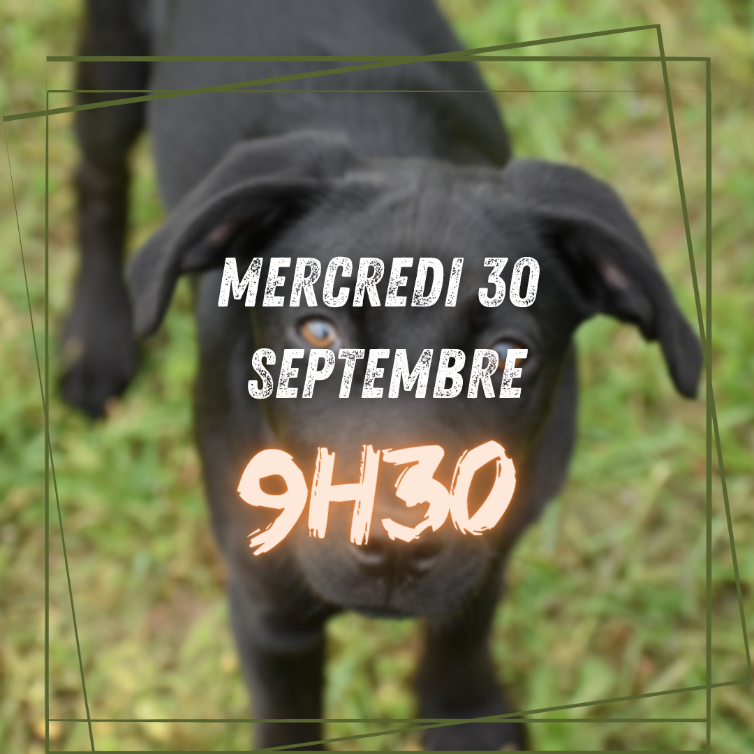 09~ Mercredi 30 Septembre 9h30