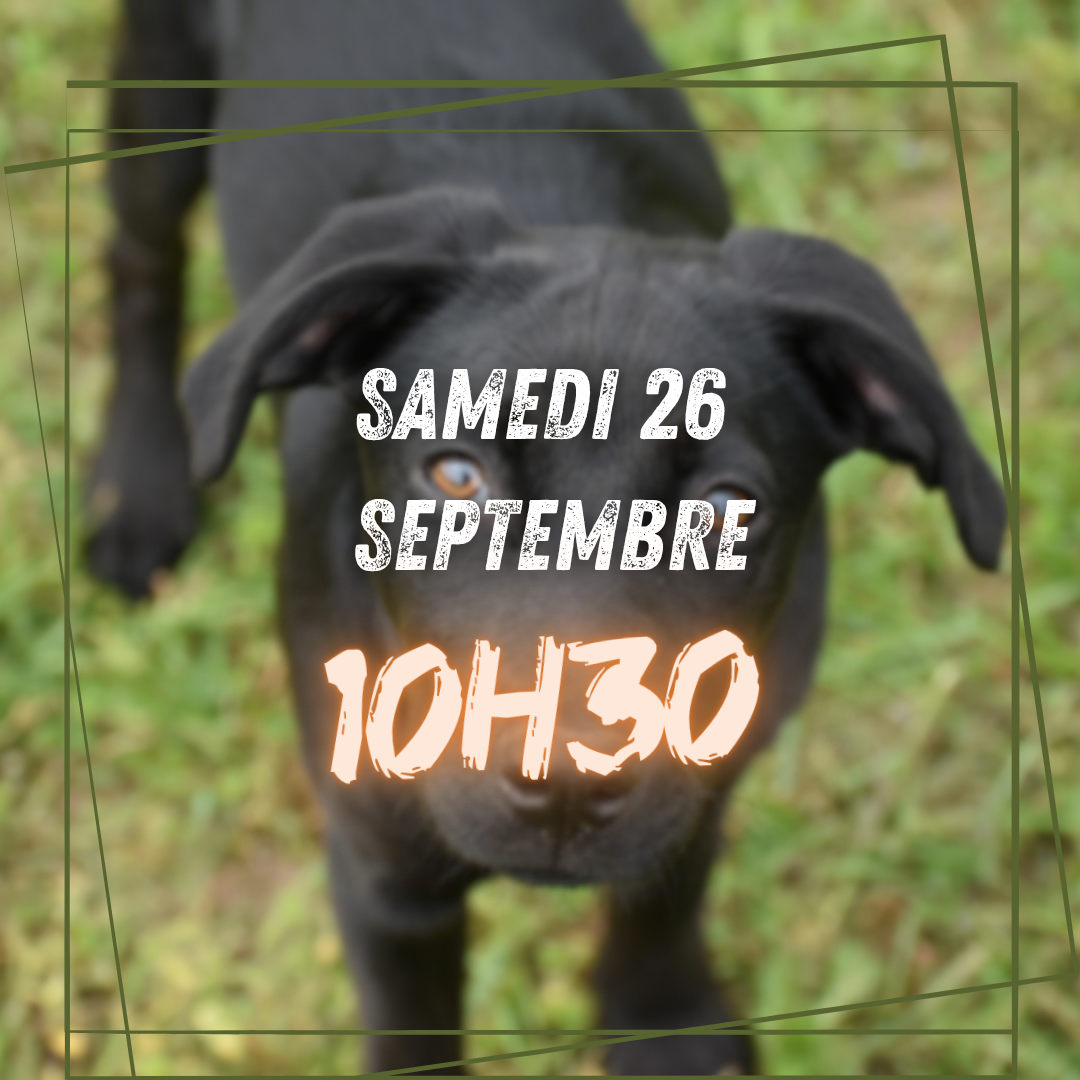 09~ Samedi 26 Septembre 10h30