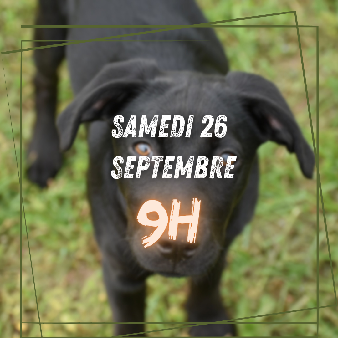 09~ Samedi 26 Septembre 9h