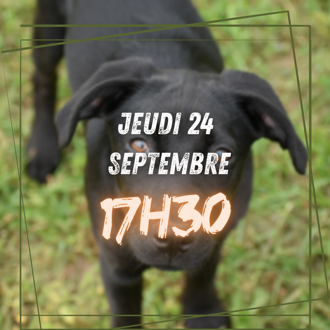 09~ Jeudi 24 Septembre 17h30