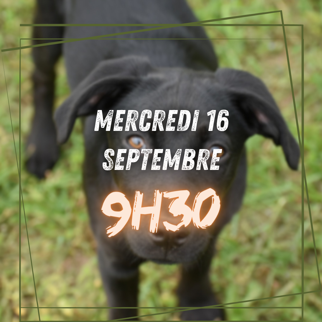 09~ Mercredi 16 Septembre 9h30 