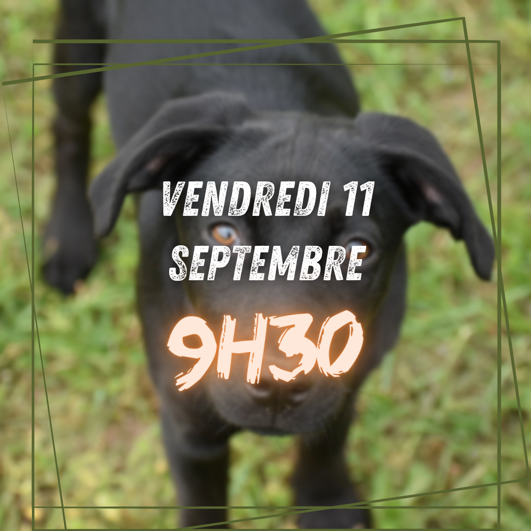 09~ Vendredi 11 Septembre 9h30